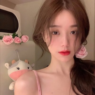 少年四大名捕粤语